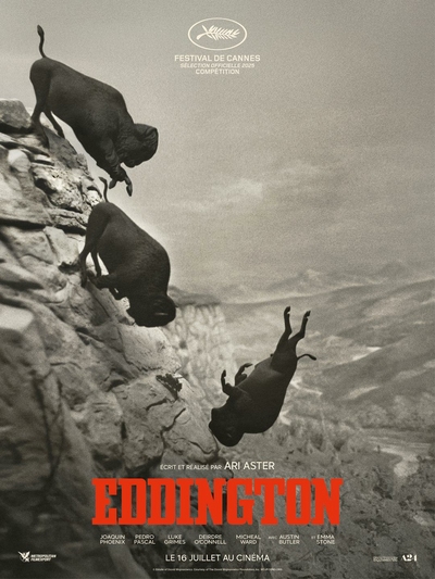 Affiche du film