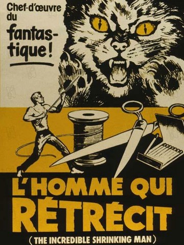 Affiche du film L'HOMME QUI RÉTRECIT