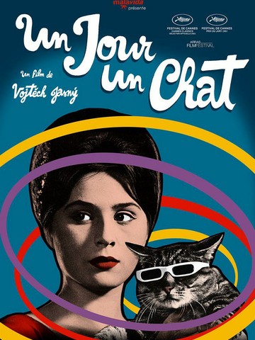 Affiche du film UN JOUR UN CHAT