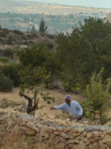 Affiche du film STILL PLAYING + VACANCES EN PALESTINE
