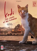 Affiche du film KEDI - DES CHATS ET DES HOMMES