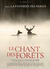 Affiche du film LE CHANT DES FORÊTS
