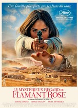 Affiche du film LE MYSTERIEUX REGARD DU FLAMANT ROSE