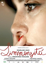 Affiche du film L Immensita
