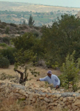 Affiche du film STILL PLAYING + VACANCES EN PALESTINE
