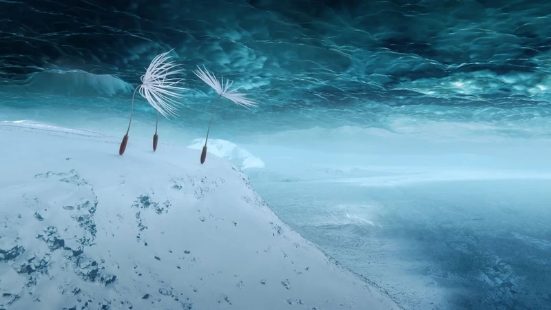 image illustrant le film ou l'événement