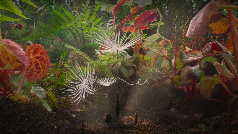 image illustrant le film ou l'événement