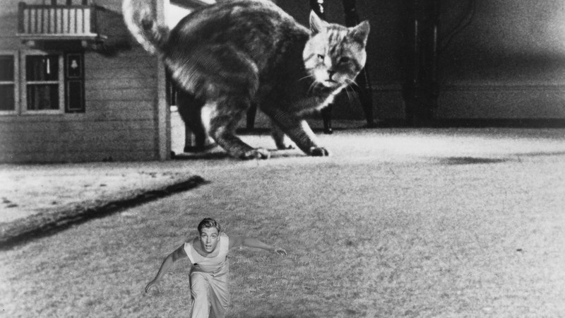 image tirée du film