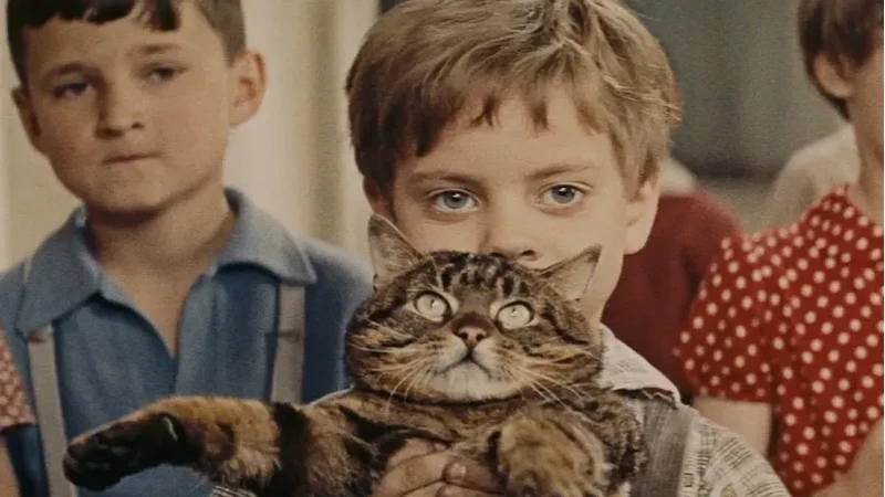image tirée du film